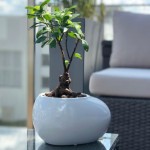 Keramični lonec Piano 31.034.22